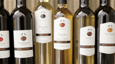 Exploring Pet-Friendly Wineries: Sip and Savor with Your Canine Companion